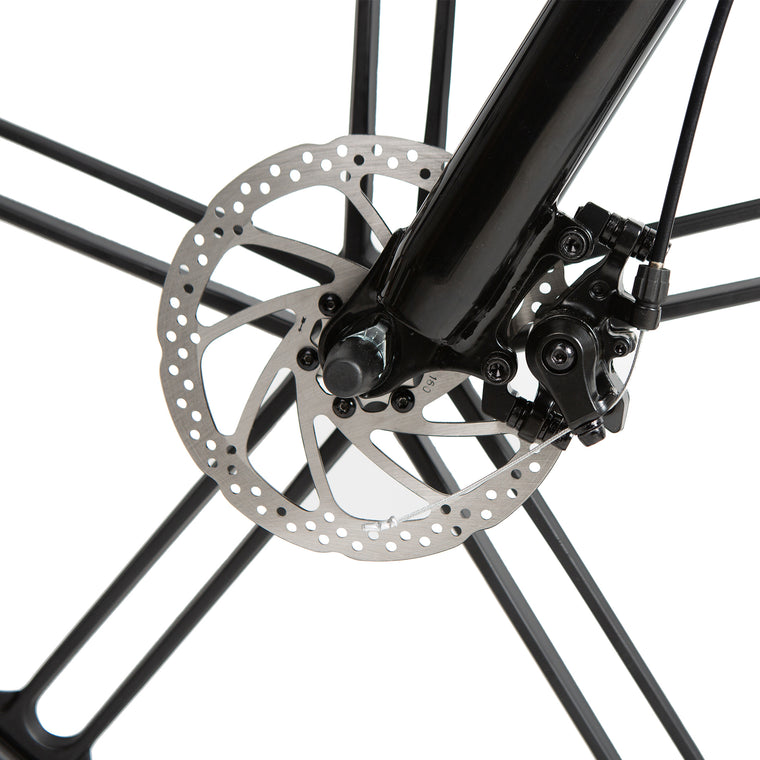 Dual Disc Brake System